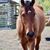 Juanita Taylor Sabatel's profile image