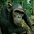 Chukee Won's profile image