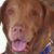 Charlie Burke's profile image