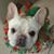 Lucinda Sledge Burchel's profile image