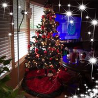 Darlene Turner Lauderback's profile image