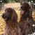 Julie McTee's profile image