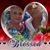 Lorraine Pardocchi-Kramer's profile image
