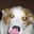 Rick Dupler's profile image
