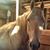 Toni Hood's profile image
