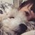 Victoria Miller's profile image