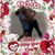Roseann Sabina's profile image