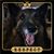 Cynthia Miller's profile image