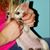 Mikie J Everett's profile image
