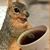 Cheryl Wallace's profile image