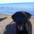Suzanne Hopkins's profile image