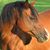 Catherine Lang's profile image