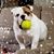 Pam Haines's profile image