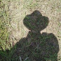 Dave Benedum's profile image