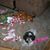Linda Benson Mathisen's profile image