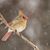 Clifton Van Brown's profile image