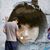 Selina Chou's profile image