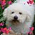 Sue Short's profile image