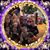 Michelle R. Sammet's profile image