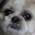Cheryl Charlene Kay Morris's profile image
