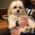 Maria Muscente's profile image