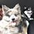 Tony Armella's profile image