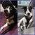 Lyndsay Mazzola's profile image