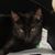 Carrie Huitt's profile image