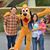 Anthony Hieu Nguyen's profile image