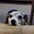 Shawn Starkey's profile image