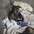 Maria Fuentes's profile image