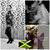 Marsha White's profile image