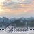 Soni Ashland Hannigan's profile image