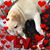 Donna Dumont's profile image