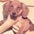 Elizabeth Navarra's profile image