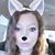Courtney Baier's profile image