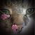 Mary Lukowski's profile image