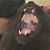 Derek Burkeen's profile image
