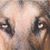 Van Rader's profile image