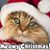 Debra Lynn Humphreys's profile image
