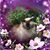 Cindy Bray's profile image