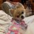 Cyndi Davis's profile image