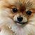 Joanna Dahlbeck's profile image