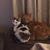 Gina Cornelius's profile image