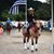 Twila Dopp's profile image