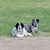 Melissa Davis-Oviatt's profile image