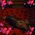 David Byington's profile image