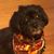 Tammy Rickert Ogaard's profile image