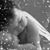 Lynn Irwin's profile image