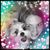 Alexandra Anthony Prosk's profile image